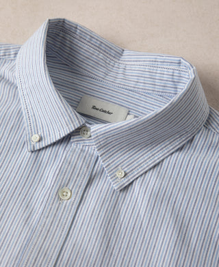 Blue-and-white striped button-down shirt collar with two-tone buttons